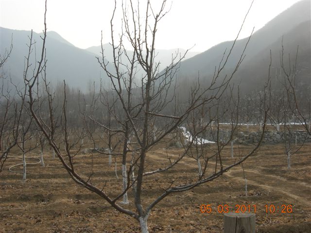 110305  爬东山 016.jpg