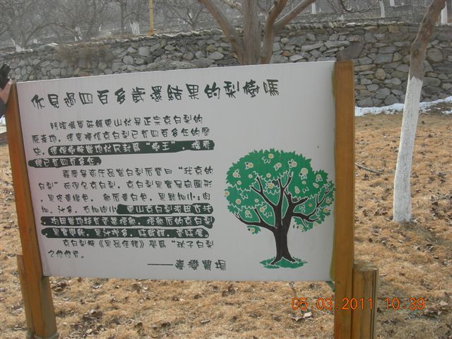 110305  爬东山 025.jpg