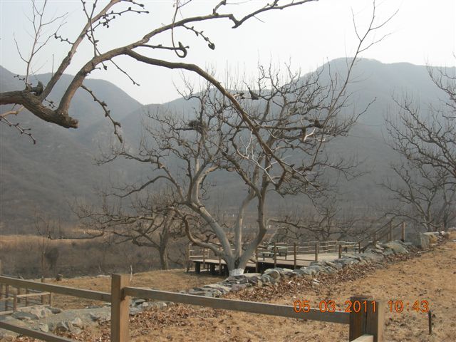 110305  爬东山 027.jpg