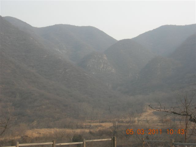 110305  爬东山 029.jpg