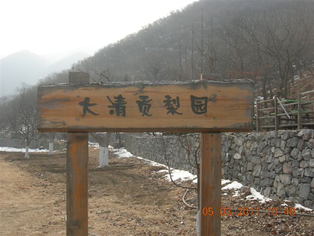 110305  爬东山 035.jpg