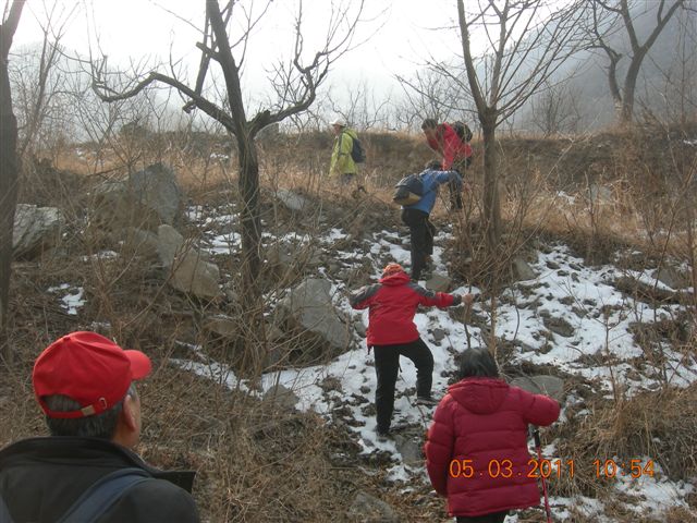 110305  爬东山 039.jpg