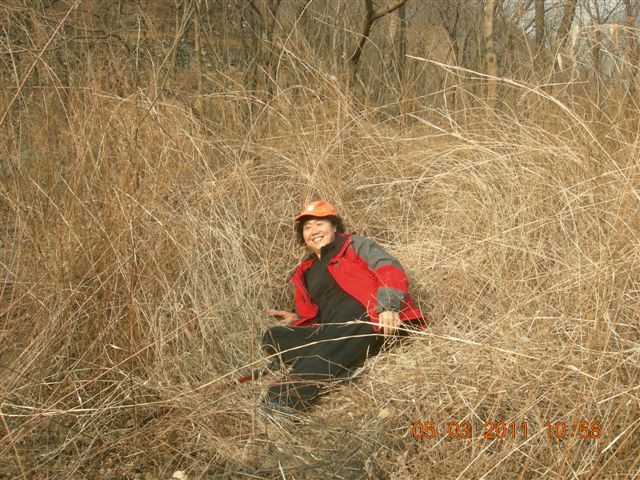 110305  爬东山 040.jpg