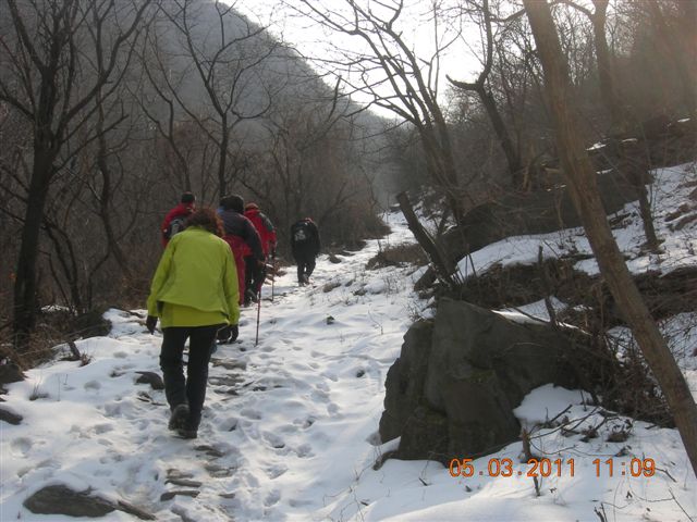 110305  爬东山 049.jpg