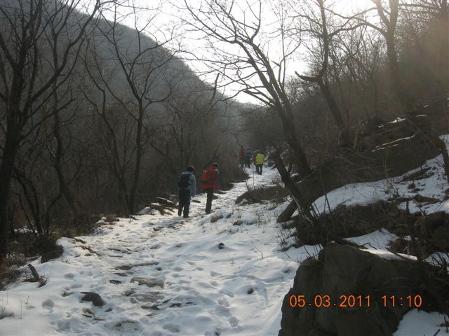 110305  爬东山 051.jpg
