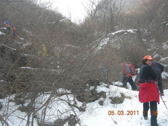 110305  爬东山 062.jpg