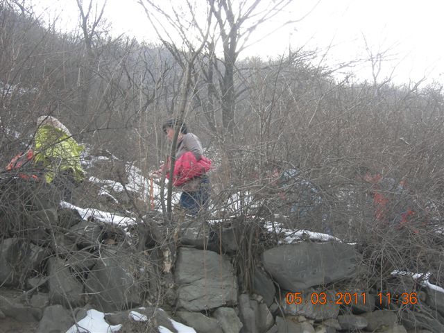 110305  爬东山 064.jpg