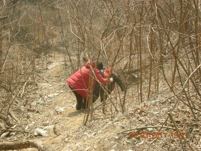 110305  爬东山 072.jpg