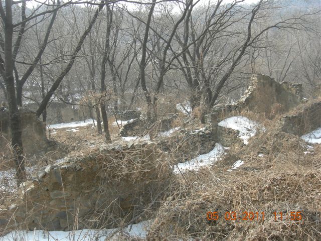 110305  爬东山 076.jpg