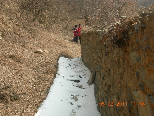 110305  爬东山 081.jpg