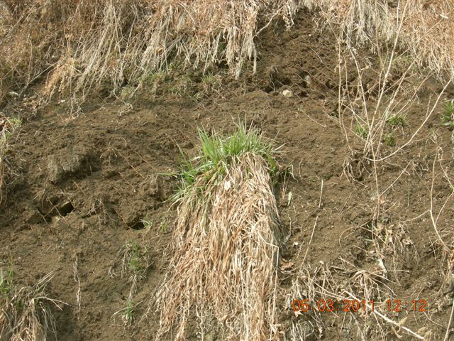 110305  爬东山 097.jpg