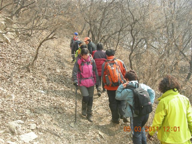 110305  爬东山 092.jpg