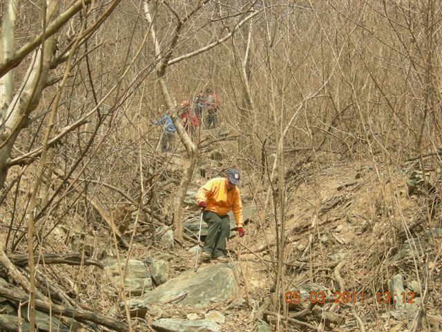 110305  爬东山 104.jpg