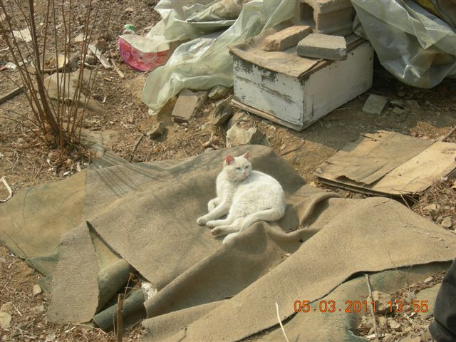 110305  爬东山 113.jpg