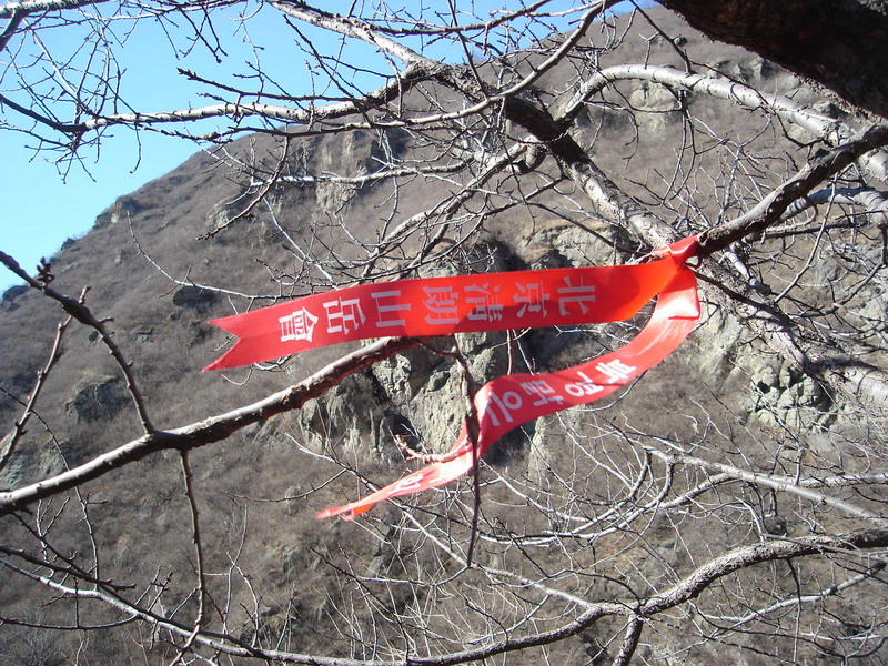 DSC07551_缩小大小.JPG