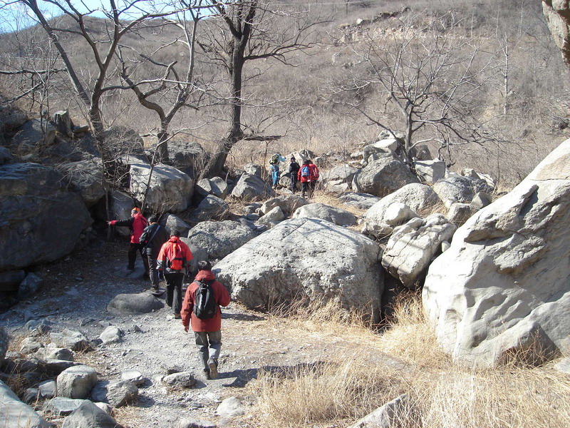 复件 DSC07512_缩小大小.JPG