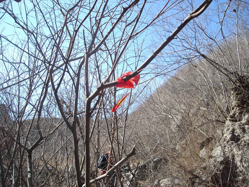 复件 DSC07514_缩小大小.JPG