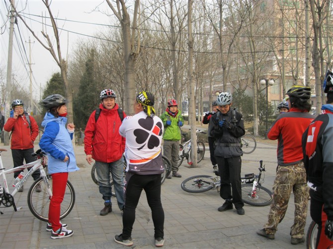 拽狼跟美女搭讪