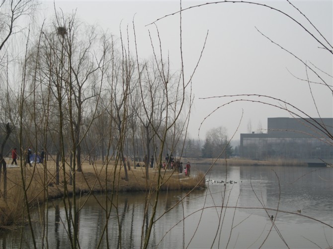 不知道这是不是稻香湖