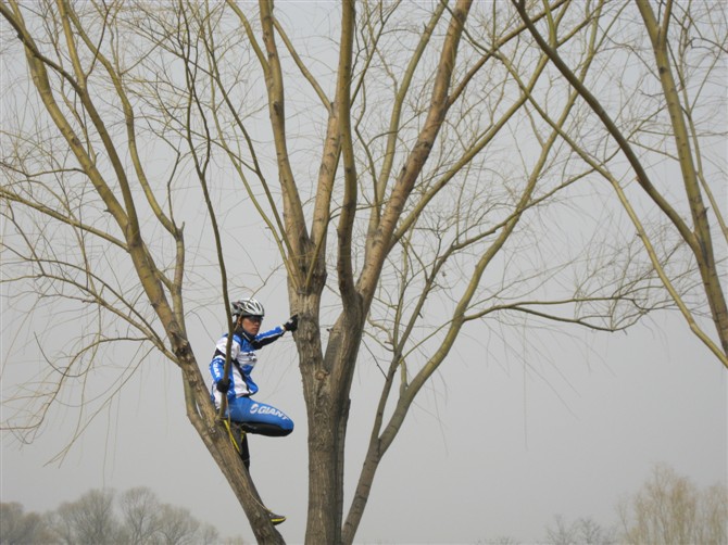 欲穷千里目，更上一棵树。