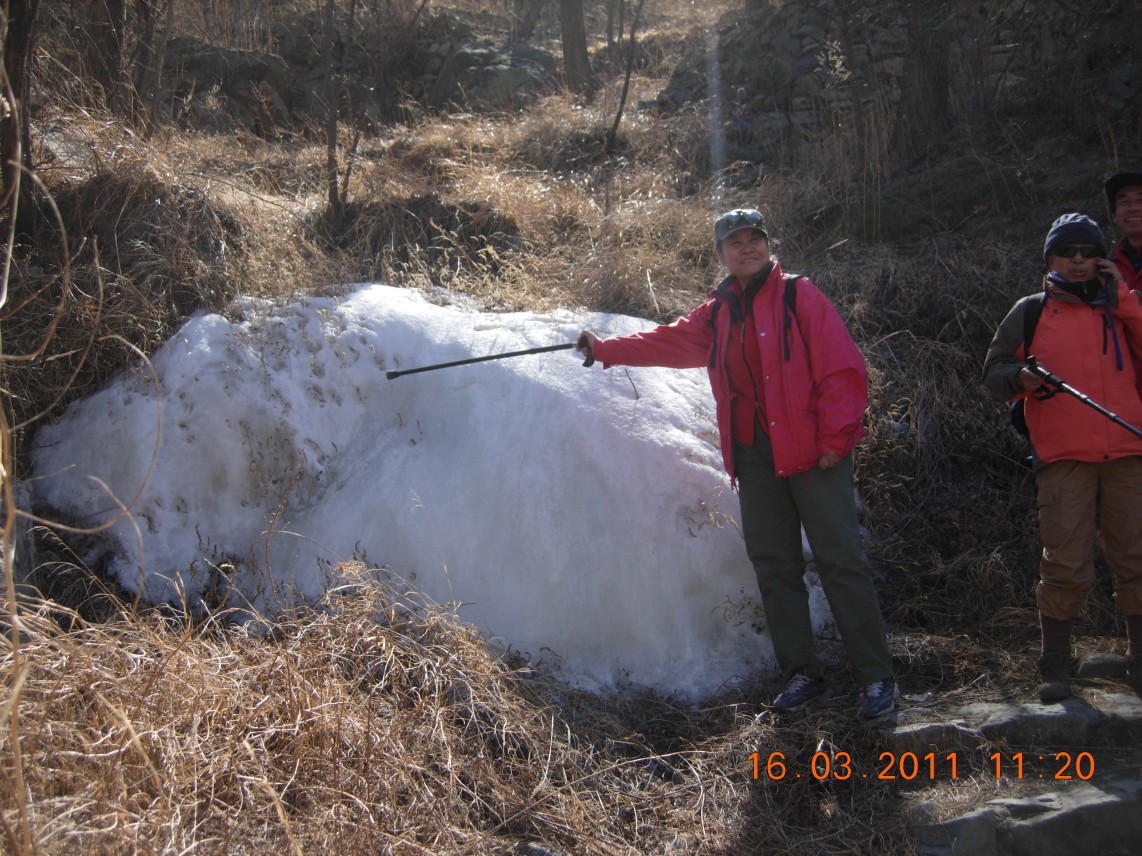 看见的头一块冰