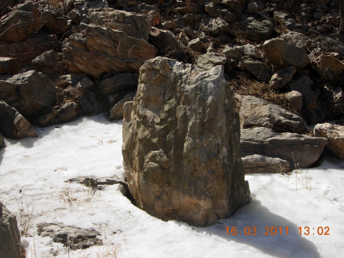 我好像看到了中流砥柱