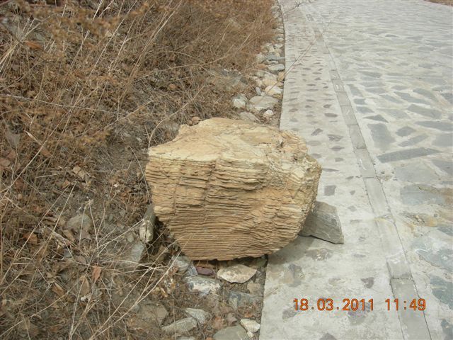 下苇店爬山 027.jpg