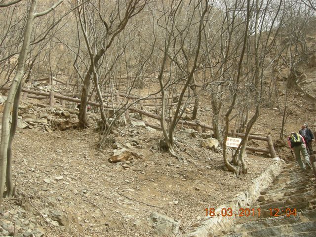 下苇店爬山 033.jpg