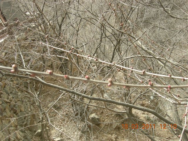 下苇店爬山 039.jpg