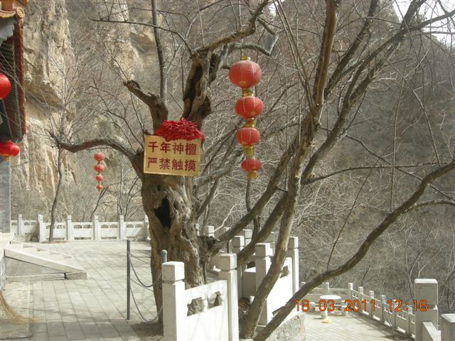 下苇店爬山 041.jpg