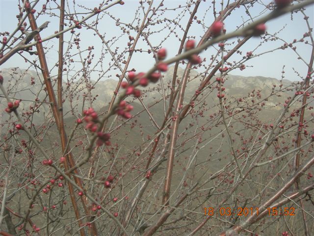 下苇店爬山 096.jpg