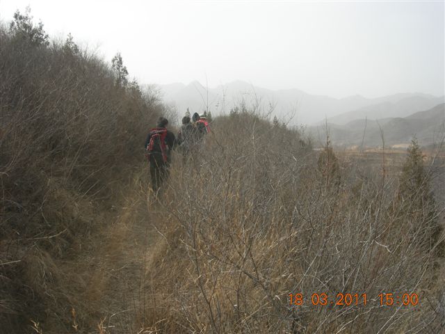 下苇店爬山 094.jpg