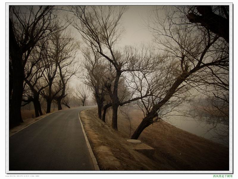 调整大小 照片 159.jpg