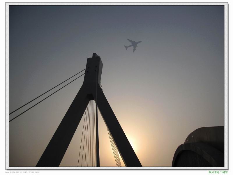 调整大小 照片 130.jpg