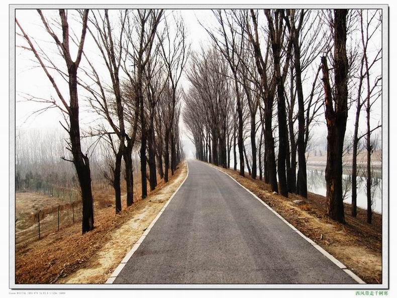 调整大小 照片 151.jpg