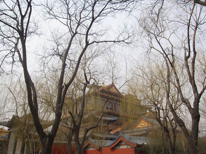 调整大小 照片 097.jpg