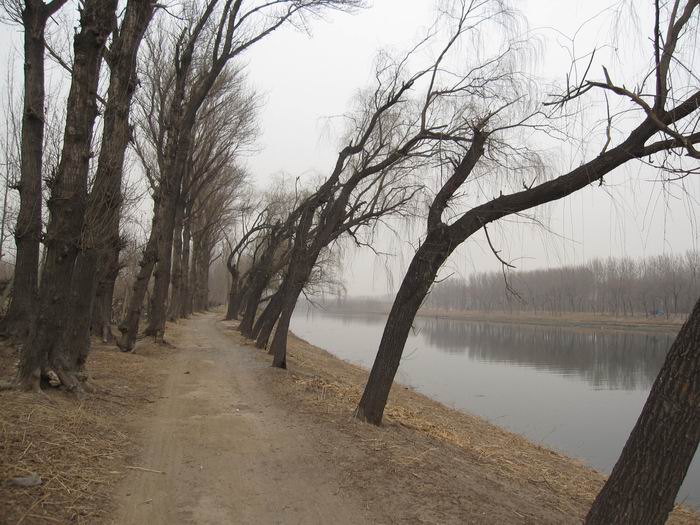 调整大小 照片 127.jpg