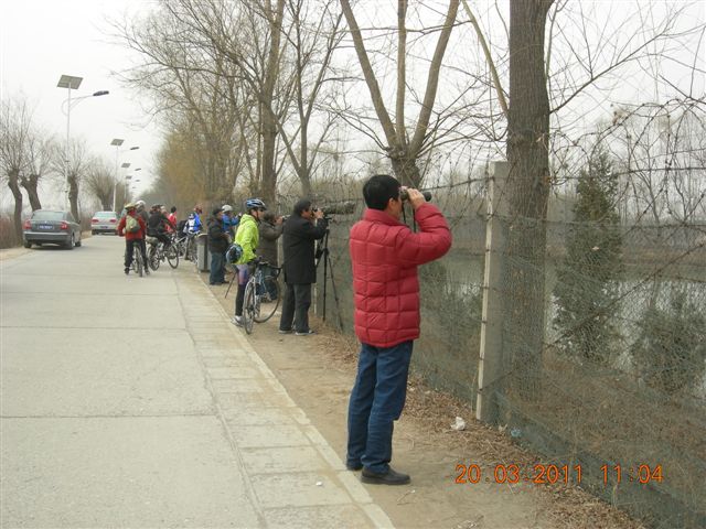 110320  稻香湖骑行 030.jpg