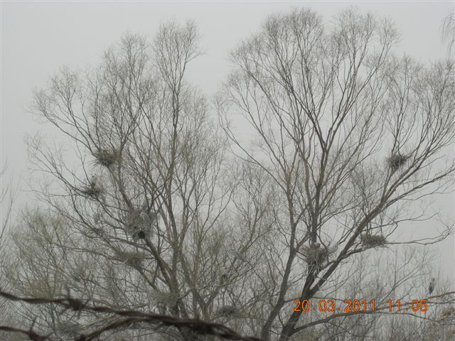 110320  稻香湖骑行 031.jpg