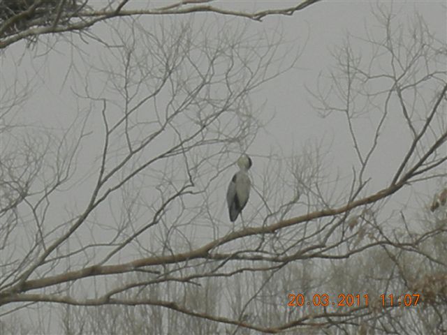 110320  稻香湖骑行 033.jpg