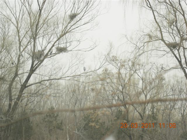 110320  稻香湖骑行 034.jpg