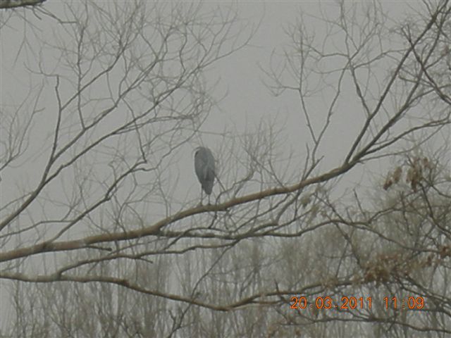 110320  稻香湖骑行 035.jpg