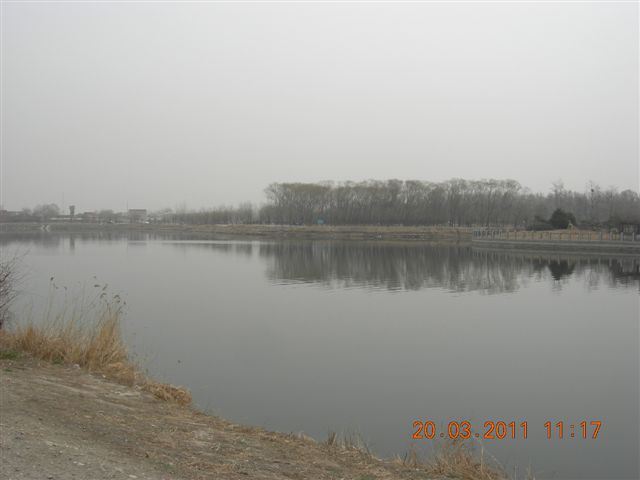 110320  稻香湖骑行 044.jpg