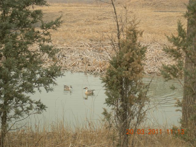 110320  稻香湖骑行 037.jpg