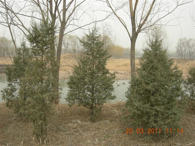 110320  稻香湖骑行 039.jpg