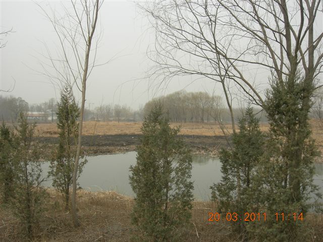 110320  稻香湖骑行 040.jpg