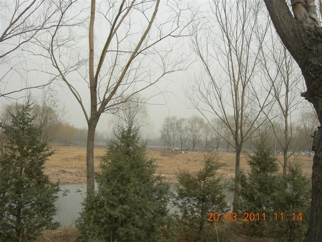 110320  稻香湖骑行 041.jpg