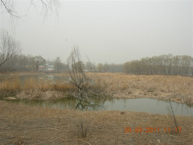 110320  稻香湖骑行 042.jpg