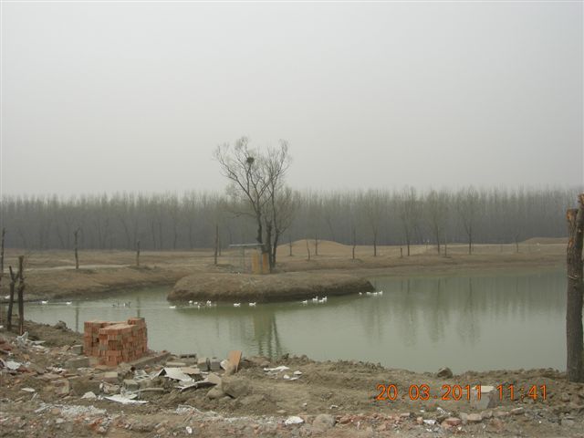 110320  稻香湖骑行 068.jpg