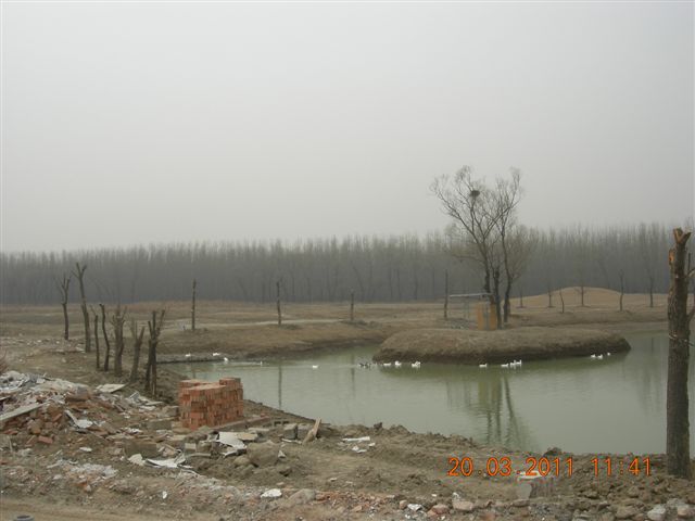 110320  稻香湖骑行 067.jpg